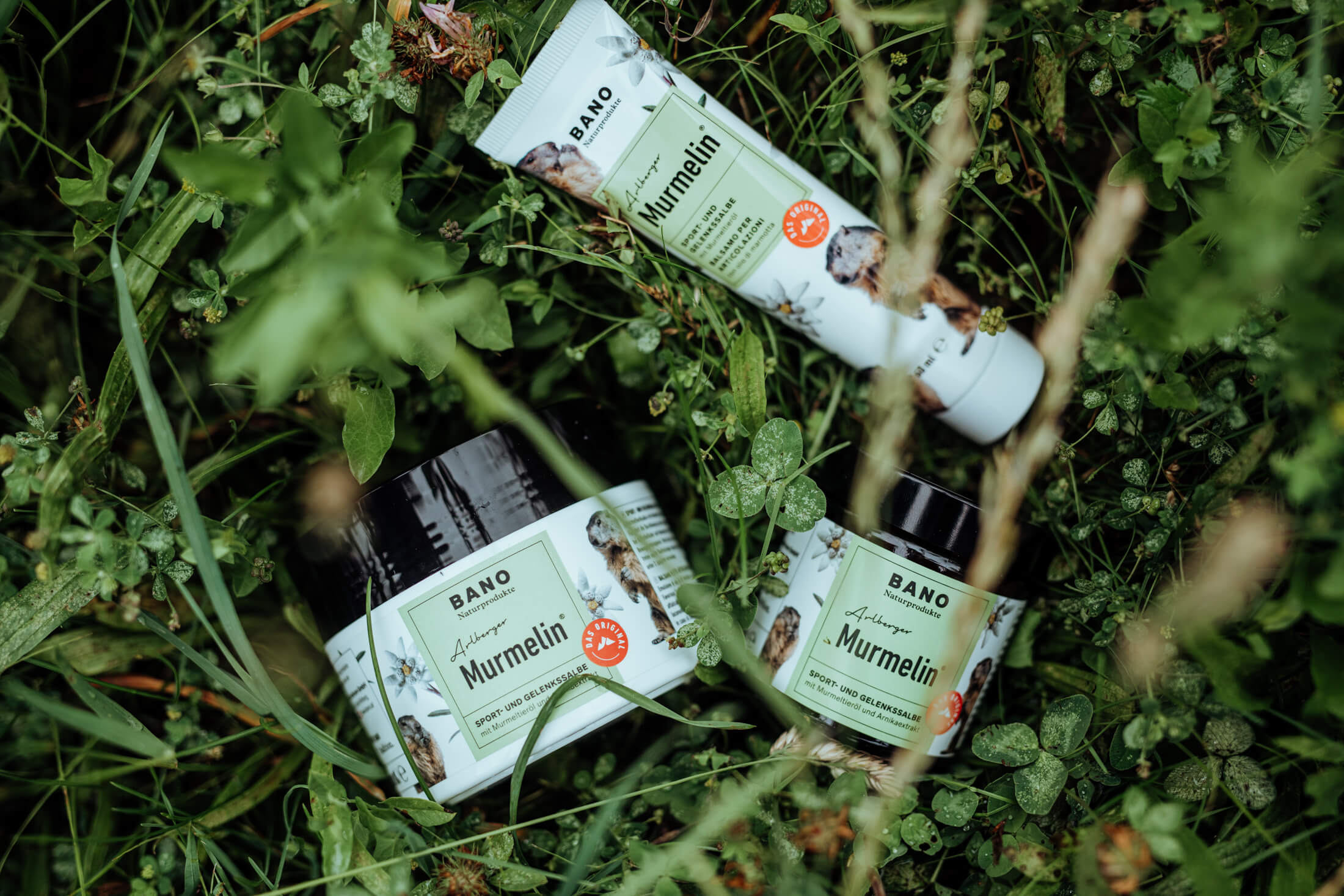 Arlberger Murmelin Sport and Joint Ointment