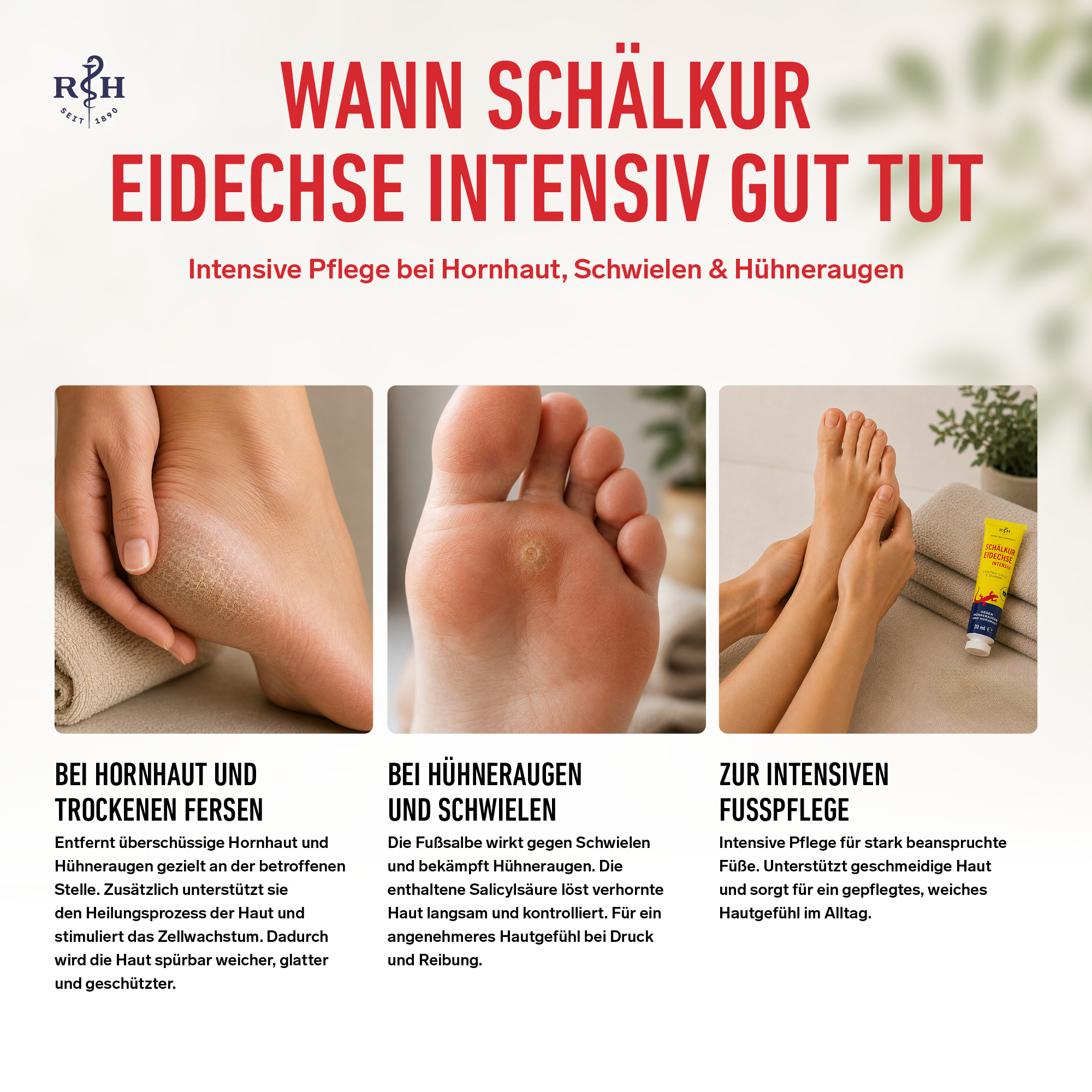 Schälkur Eidechse intensiv