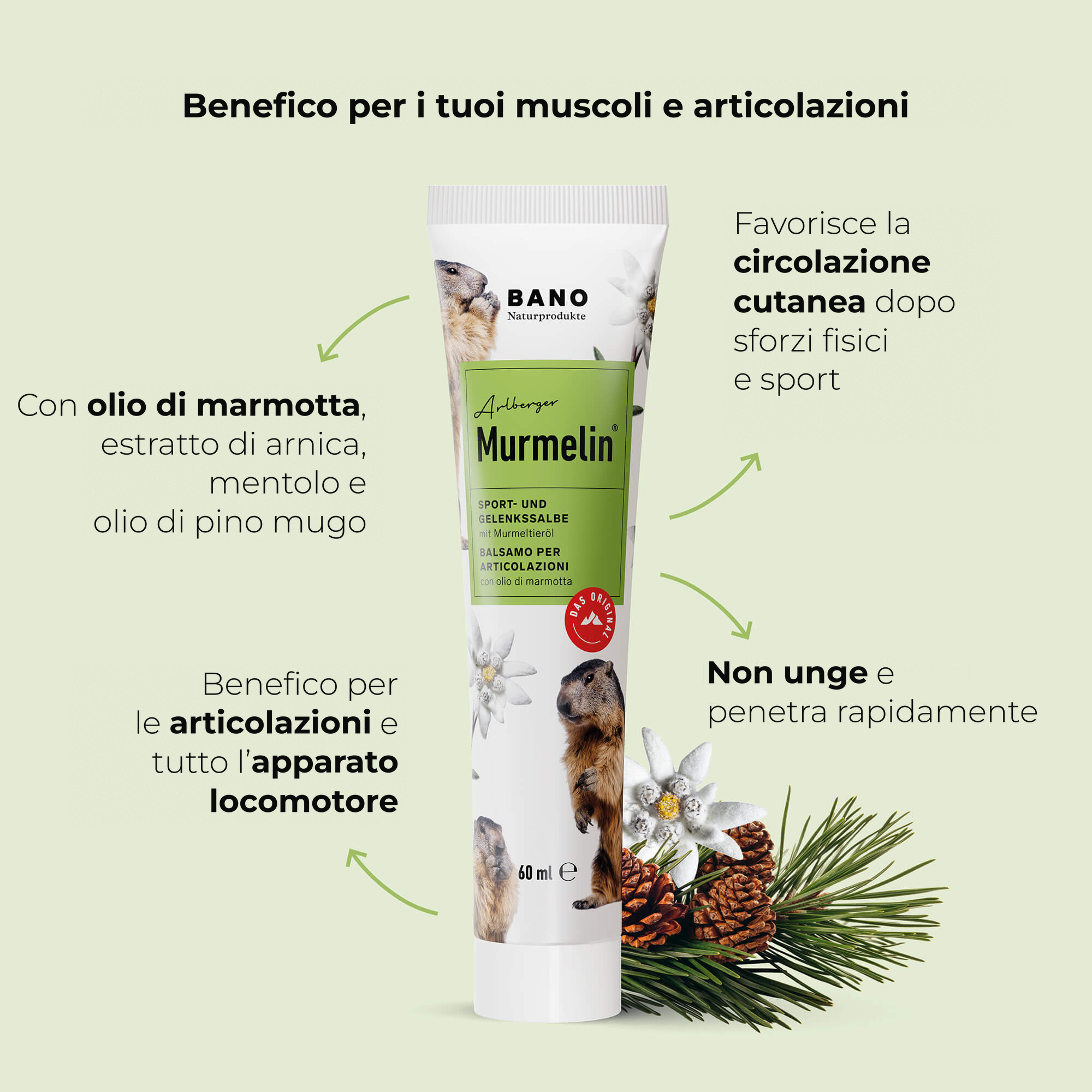 Balsamo per Articolazioni