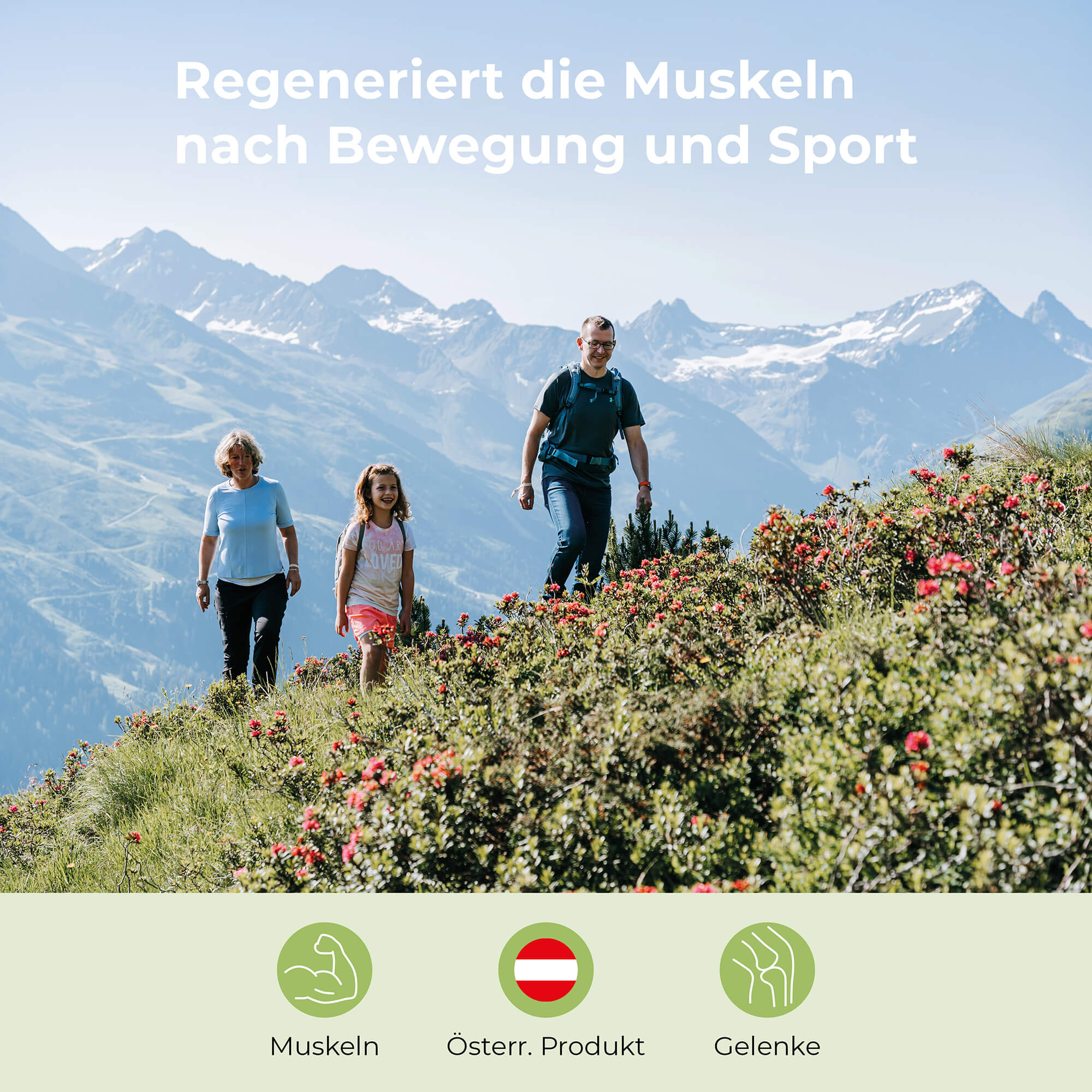 Arlberger Murmelin Sport- und Gelenkssalbe