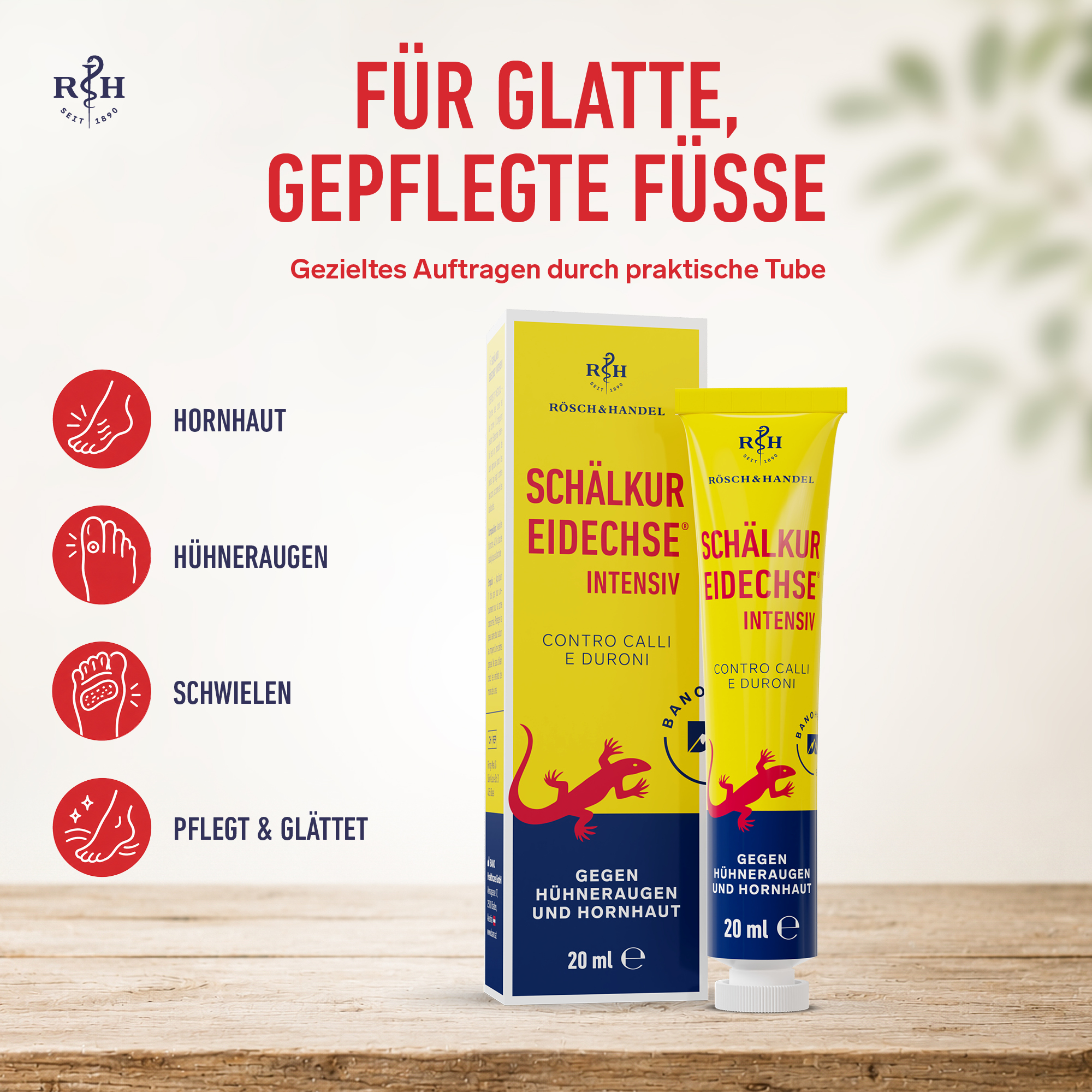 Schälkur Eidechse intensiv