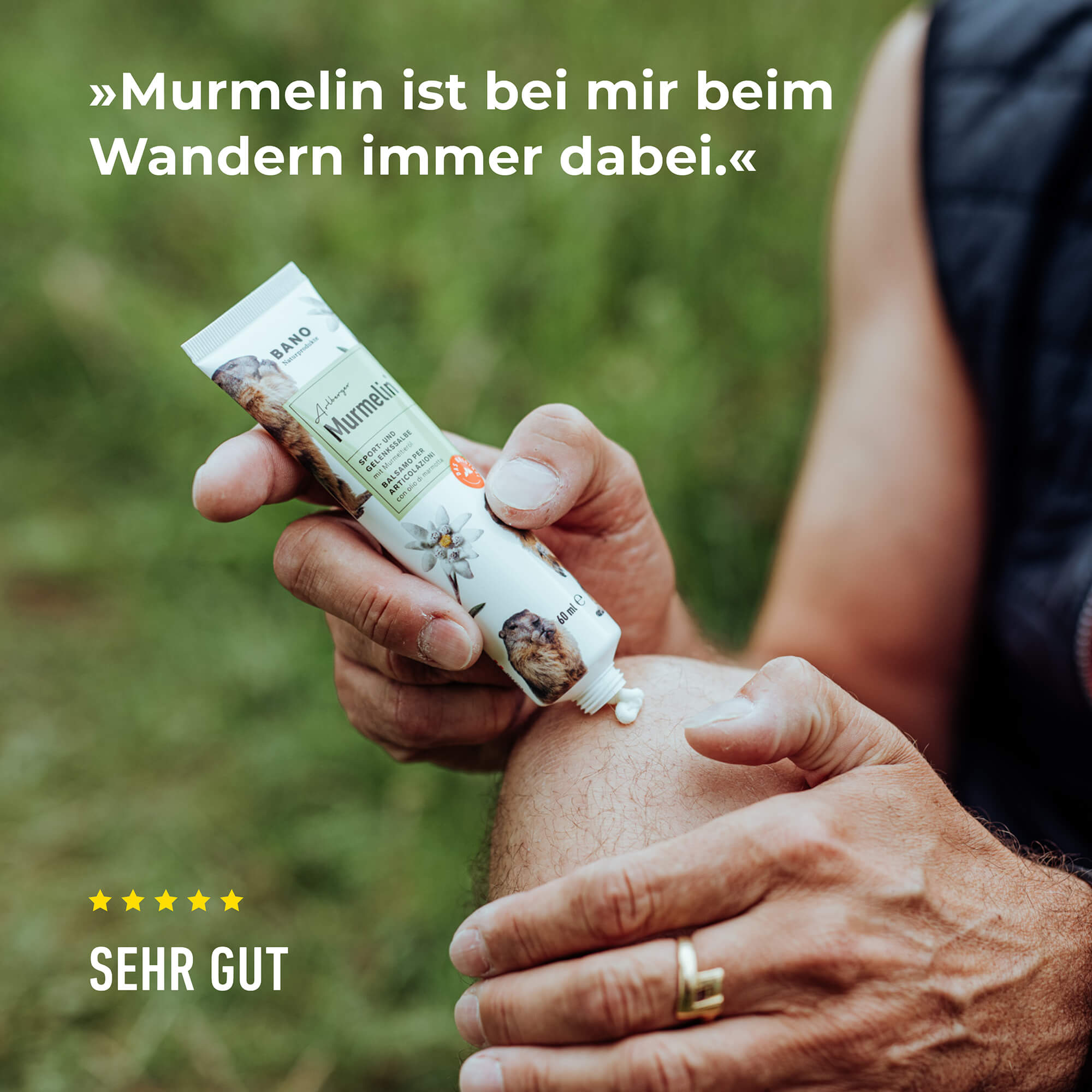 Arlberger Murmelin Sport- und Gelenkssalbe