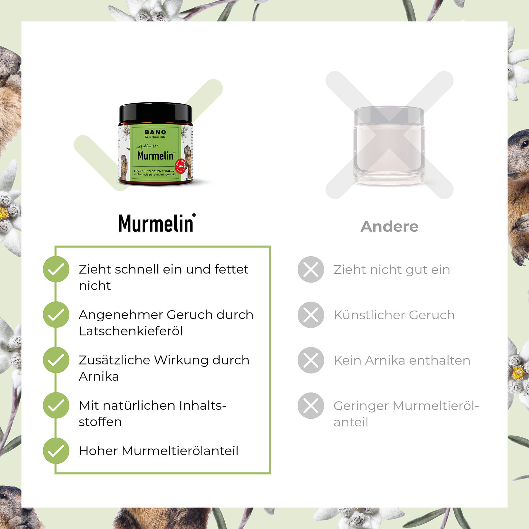 Arlberger Murmelin Sport- und Gelenkssalbe - Murmeltiersalbe für Muskeln & Gelenke