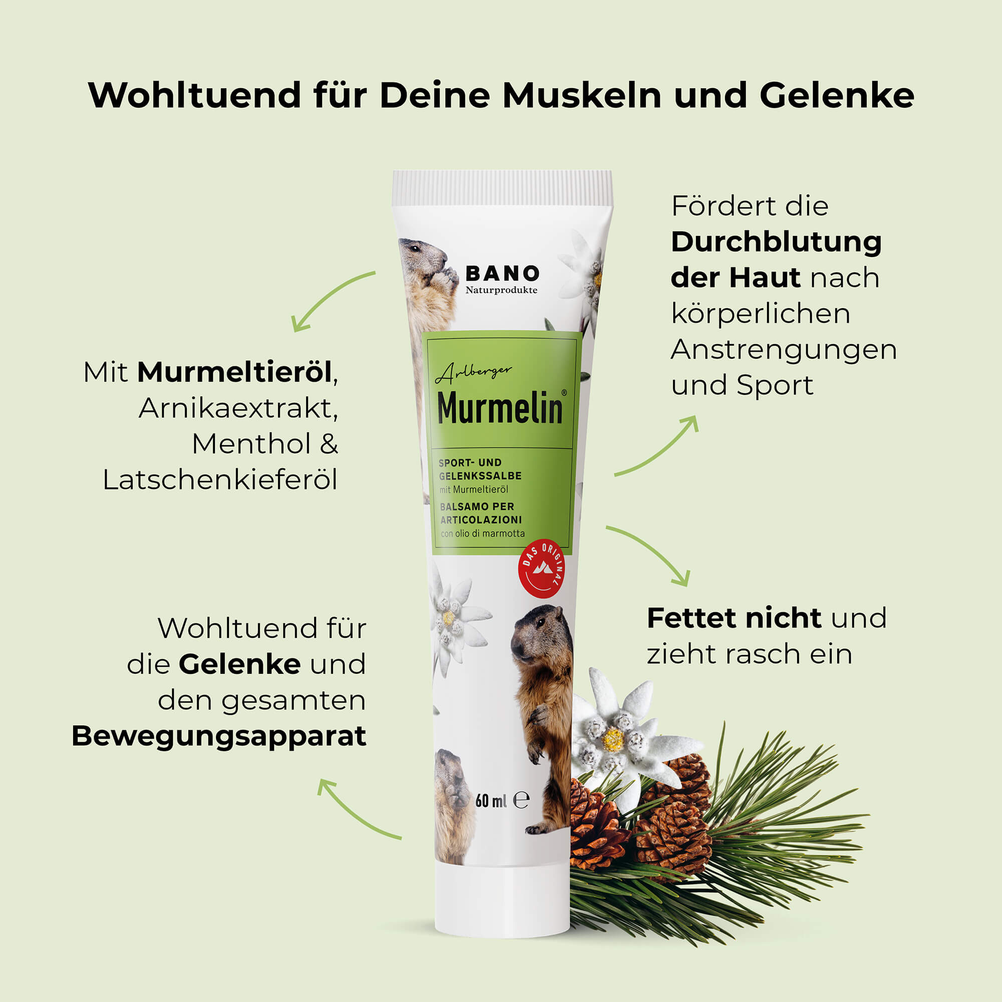 Arlberger Murmelin Sport- und Gelenkssalbe - Murmeltiersalbe für Muskeln & Gelenke