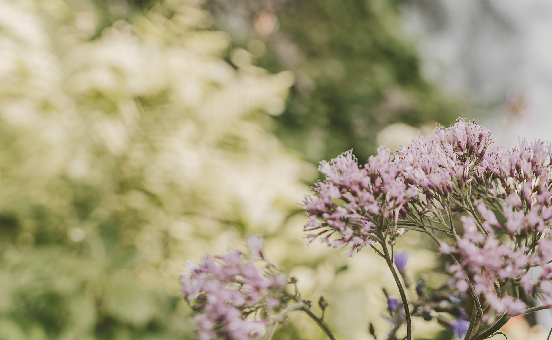 Natur